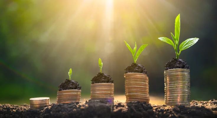 business growth