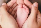 Fertility