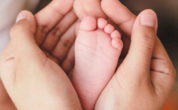 Fertility