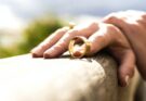 fix a broken marriage