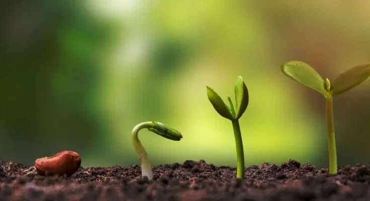 spells for financial success