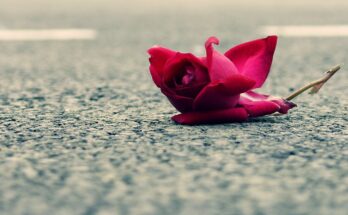 spell to rekindle lost love