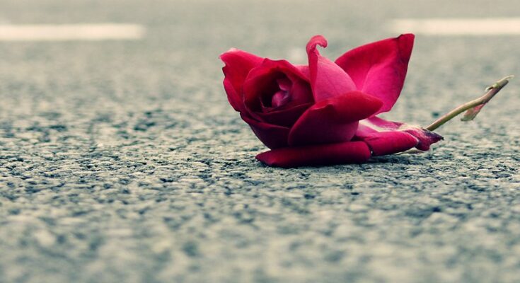 spell to rekindle lost love